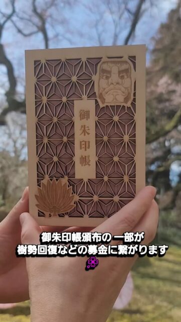 3/29 西行桜マルシェより
新たに御朱印帳が登場致します🌸
今回は樹勢回復などの募金に繋がります🌸
樹齢800年以上長きにわたり楽しませてくれている西行桜🌸
県や市の文化財を守ります🌸